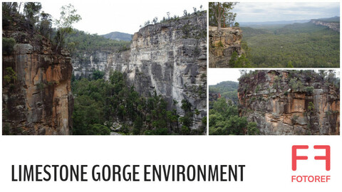 324 photos of Limestone Gorge Environment