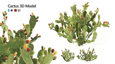 Cactus Opuntia ficus-indica tree