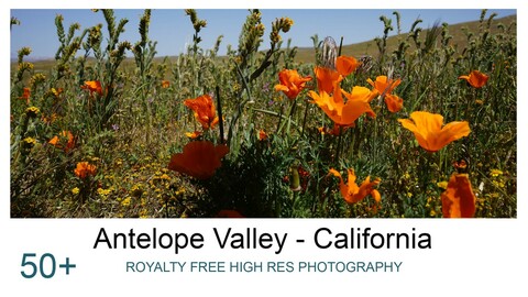 Antelope Valley