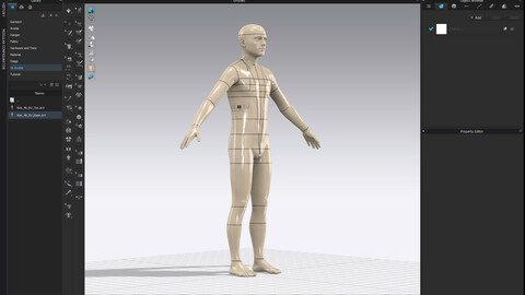 Realistic avatar-mannequin for Clo3D - Male Size 46 EU