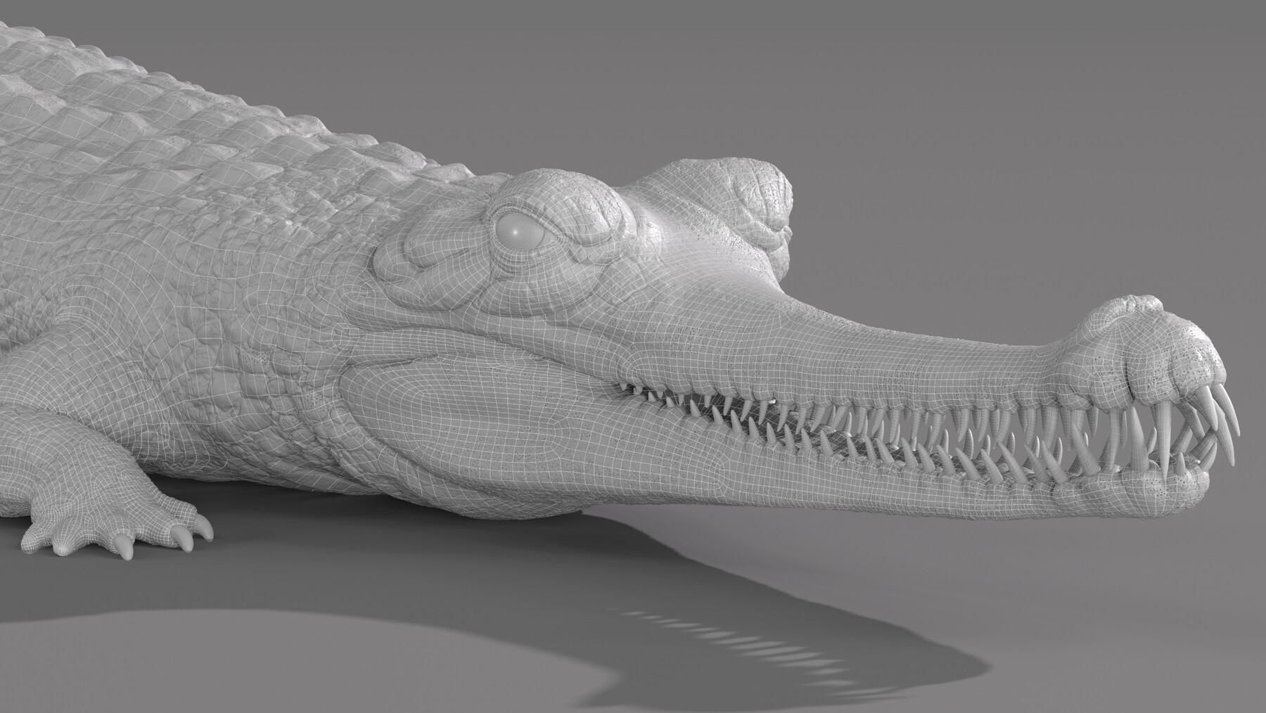 ArtStation - Gharial Crocodile 3D model textured | Resources