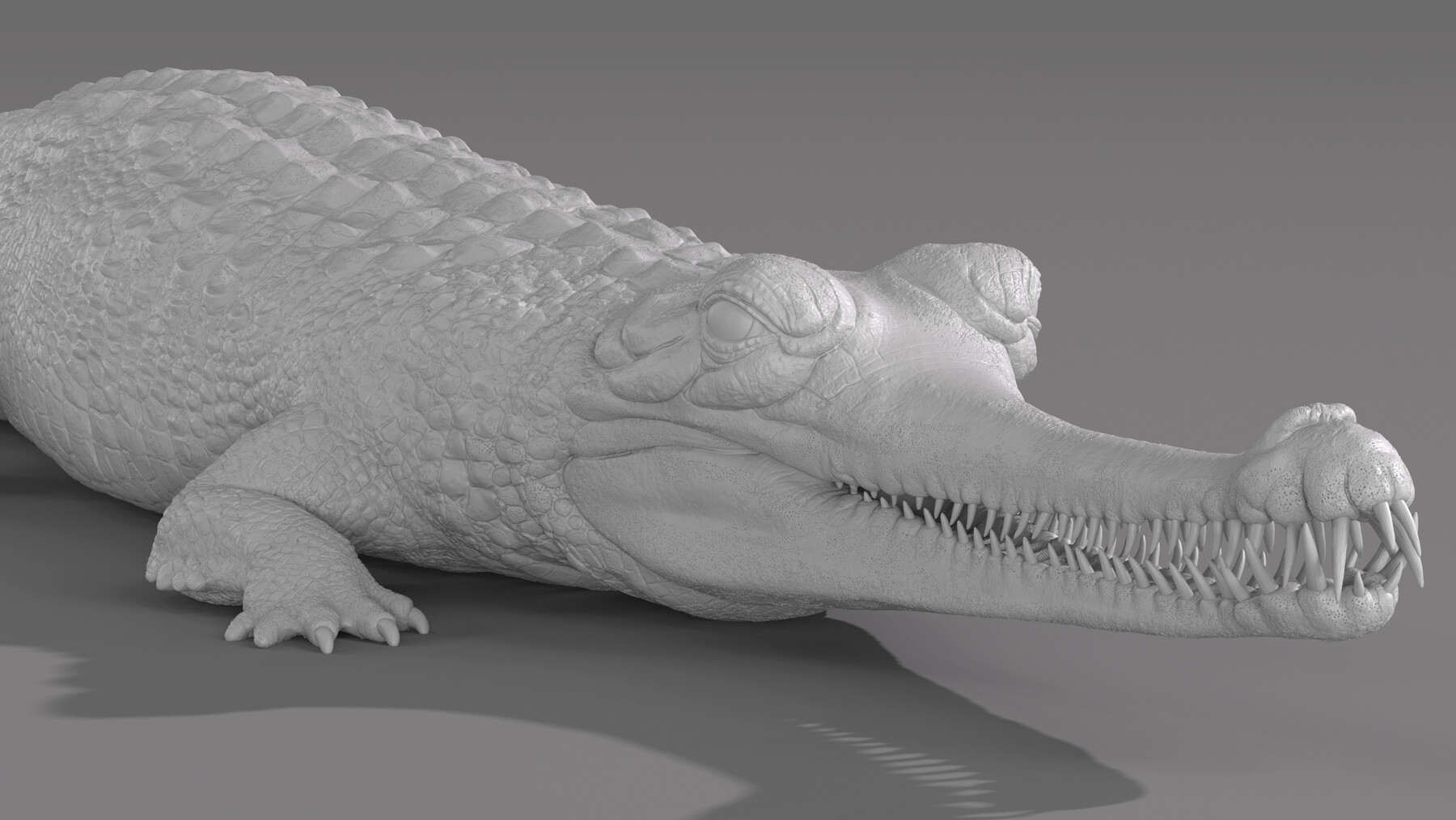crocodile bump texture
