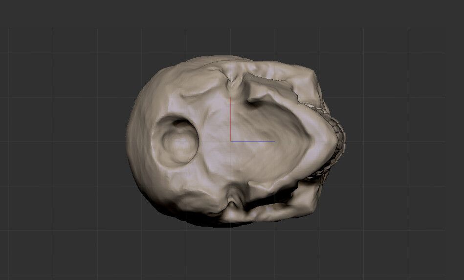 ArtStation - Skull with teeth zbrush obj | Resources