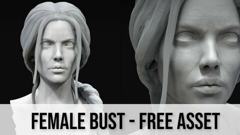 Female Bust - Free Asset