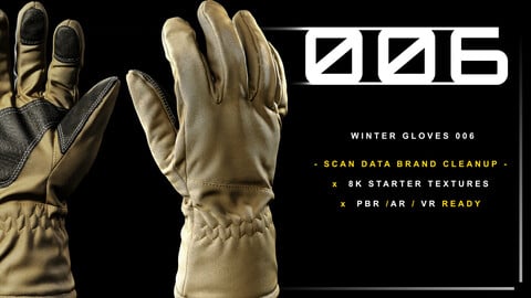 Winter Gloves 006