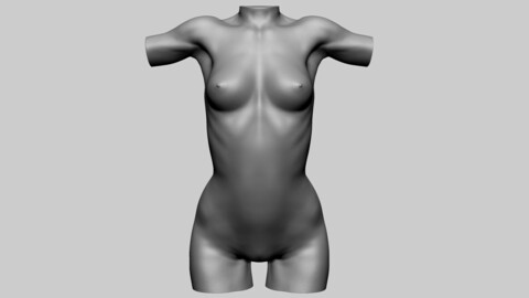 Female Torso A