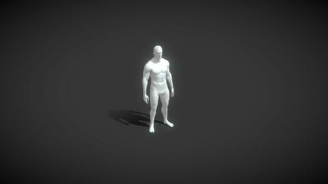 Male Body Base Mesh Animated and Rigged 3D Model 20k Polygons