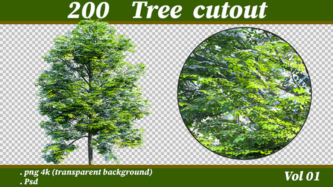 tree cutout png 4k & psd vol01