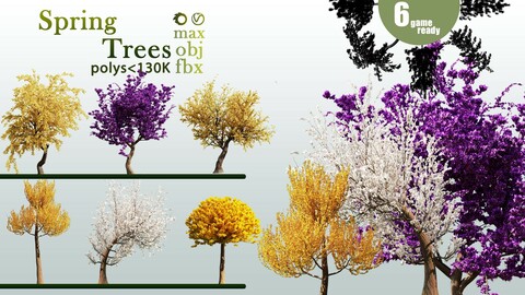 6 Spring Trees-AS