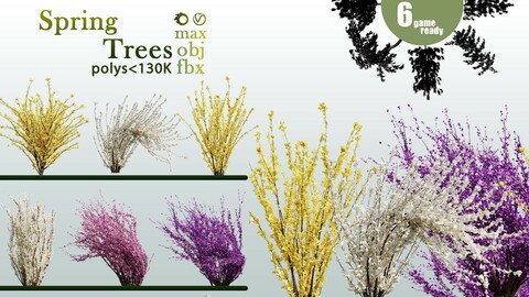 06 Spring Trees-S