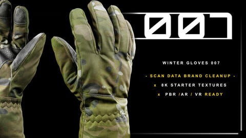 Winter Gloves 007
