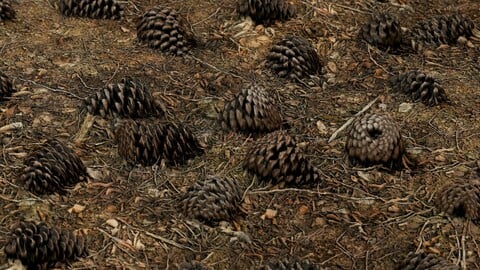 Substance Painter Pinecone Brush