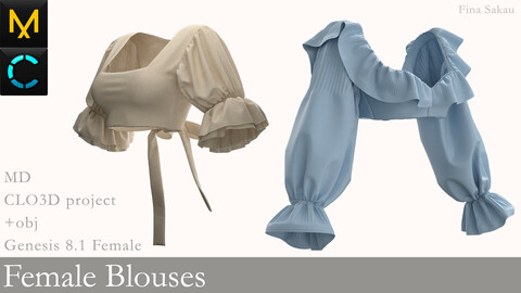 Female Blouses #1. Marvelous Designer / Clo 3D project +obj