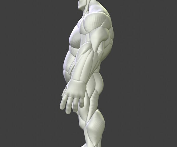 ArtStation - Stylized Heavy Anatomy Blockout | Resources