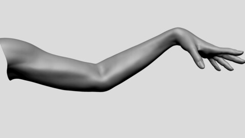Female Arm