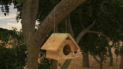 Bird House in Forest