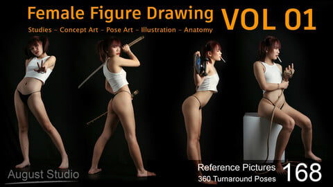 Female Figure Drawing - Vol 01 - Reference Pictures