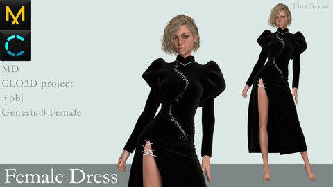 Female Dress #7. Marvelous Designer / Clo 3D project +obj