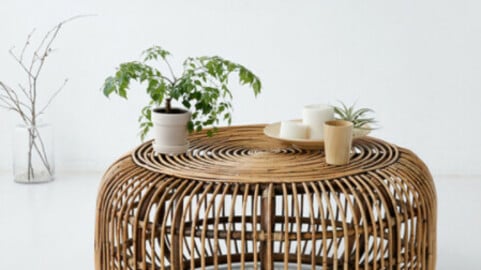 Daisy Garden PP Tray Rattan Basket