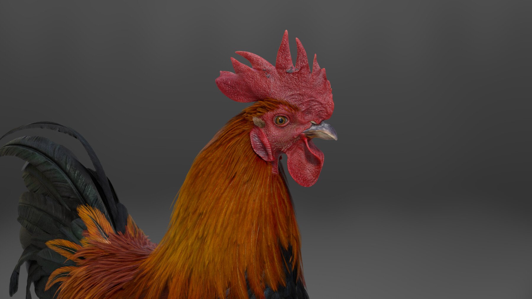 ArtStation - Black Cock Animated | VFX Grace | Game Assets