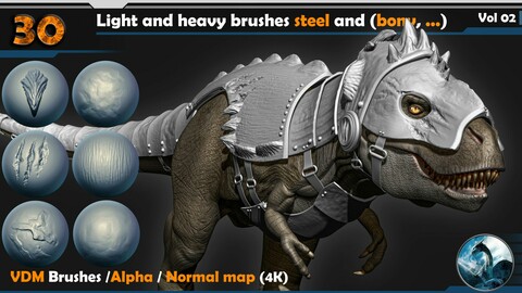 30 Light and heavy brushes steel and (bony, ...) Vol 02