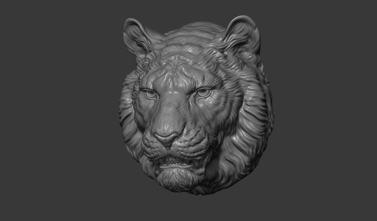 ArtStation - Tiger toothy | Resources