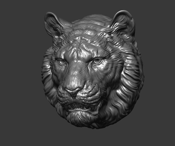 ArtStation - Tiger toothy | Resources