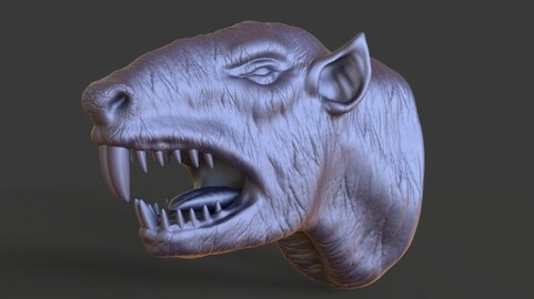 Head-F10_high poly sculpt