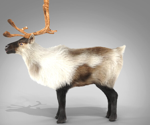 ArtStation - Fur Reindeer Rigged Blender | Game Assets