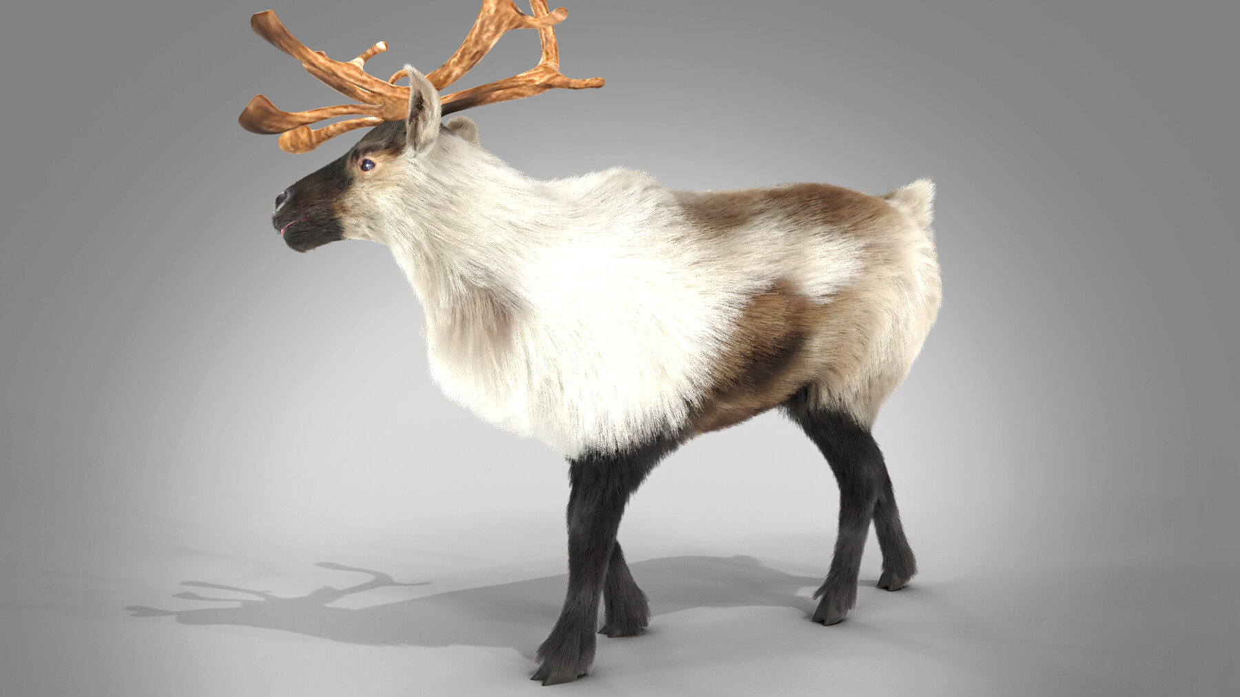 ArtStation - Fur Reindeer Rigged Blender | Game Assets