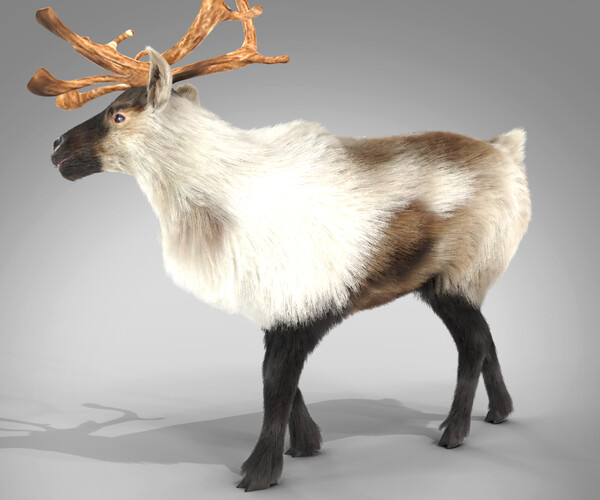 Artstation - Fur Reindeer Rigged Blender 