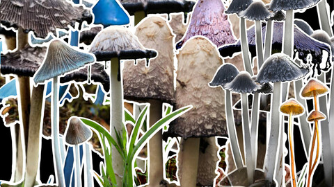 Gothic Mushrooms 10 psc