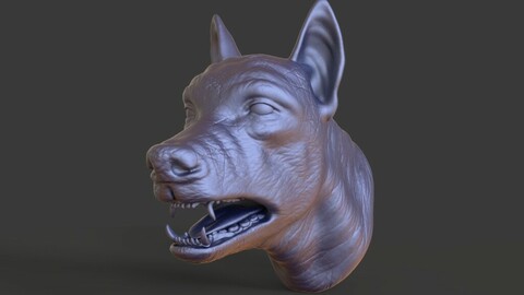 Head-F11_high poly sculpt