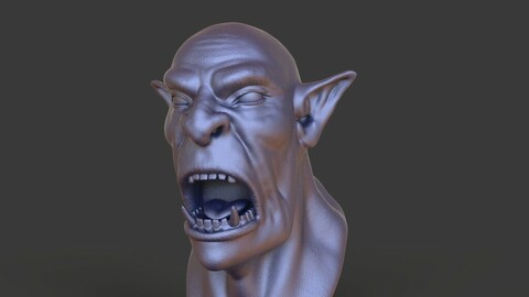 Head-F13_high poly sculpt