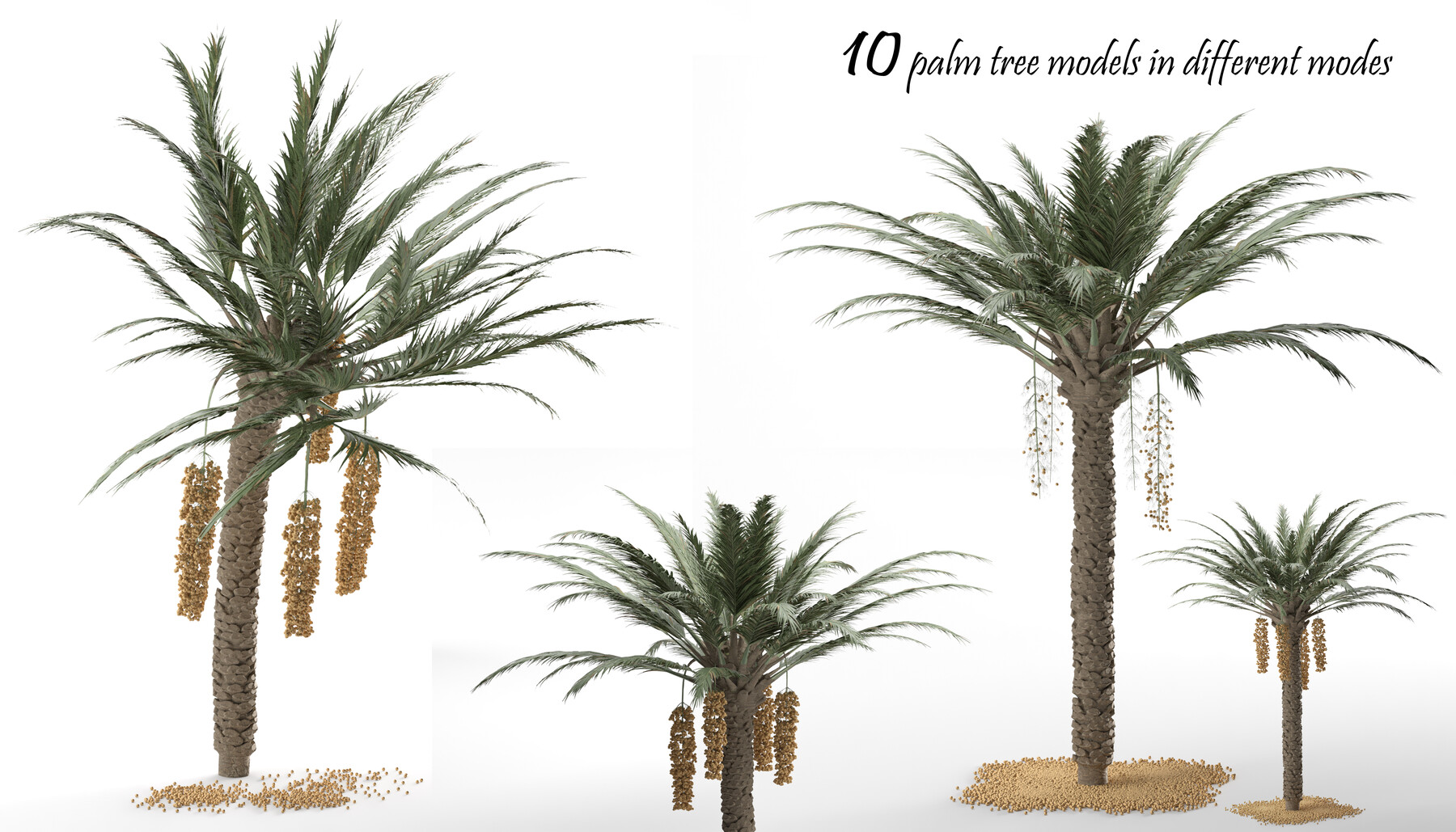 ArtStation - 10 Palm Tree 3D models + with different weather conditions ...