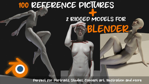 Female Rigged Body + 100 Reference pictures