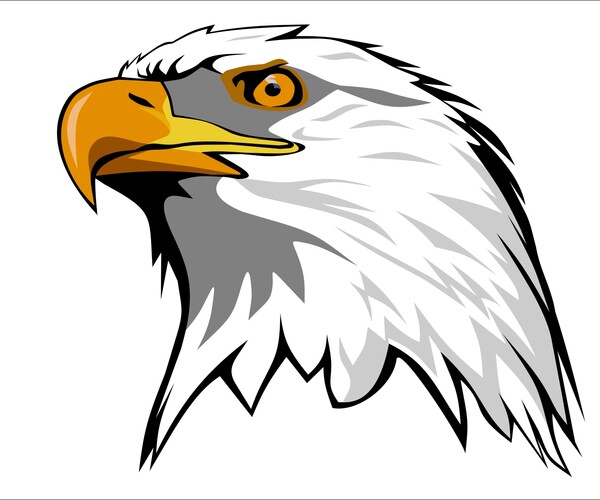 ArtStation - Eagle Head ( vector ) | Artworks