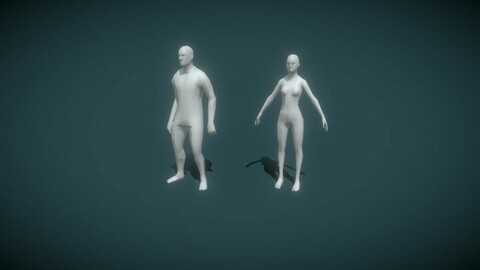 Male and Female Body Base Mesh Animated and Rigged 1k Polygons