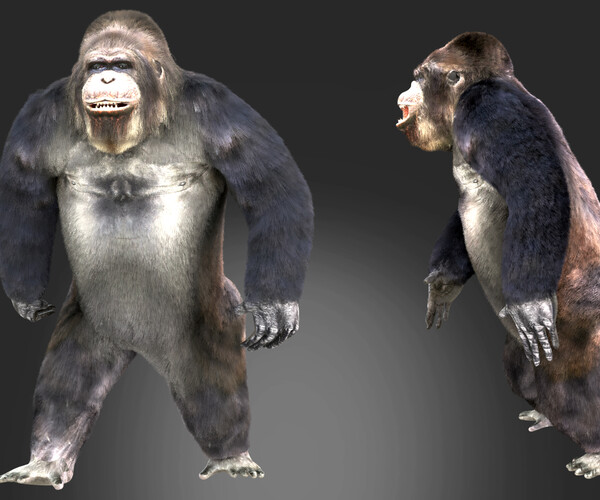 ArtStation - Gorilla Animated Blender | Game Assets