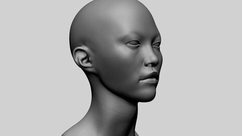 Asian Female Head A