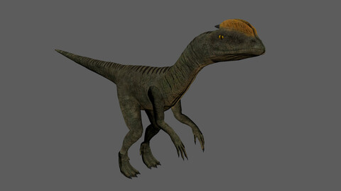 Velociraptor  dinosaur Low-poly