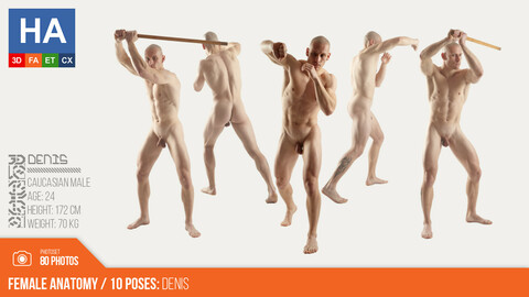 Human Anatomy | Denis 10  Fighting Poses | 80 Photos
