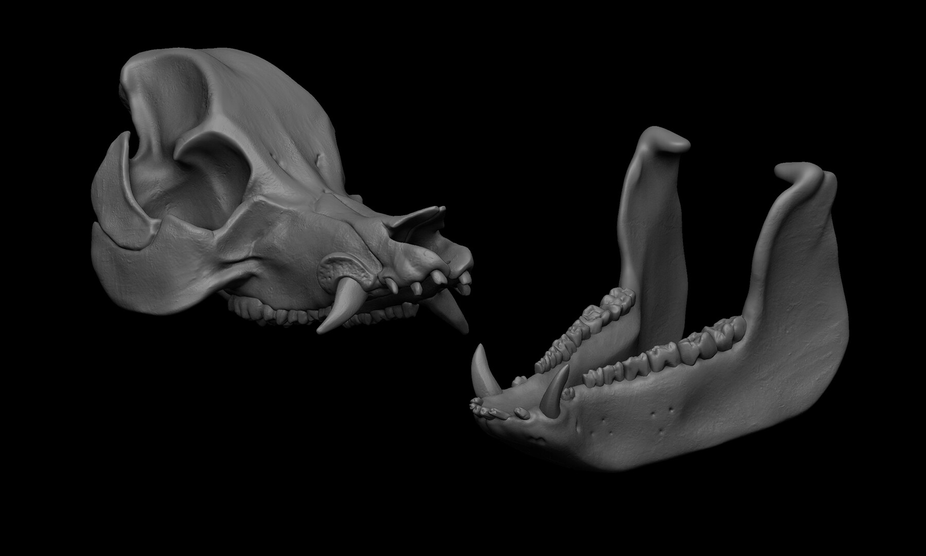 ArtStation - Pig Skull | Game Assets