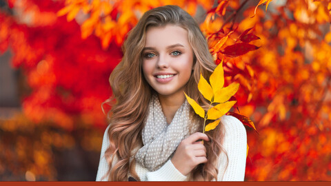 80 Fall Branches backgrounds, Autumn Tree Branch Photo Overlays, Autumn Leaves Photo Overlays, Foliage Overlays, Fine art portrait textures