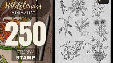 Wildflowers Brush stamp, Procreate brush stamp, Floral Stamp, wildflower bouquet Bouquet, Flowers, Botanical Designs for Cards