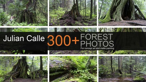 300 + FOREST  PHOTOS  Julian Calle