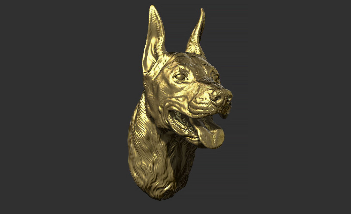 ArtStation - Doberman head | Resources