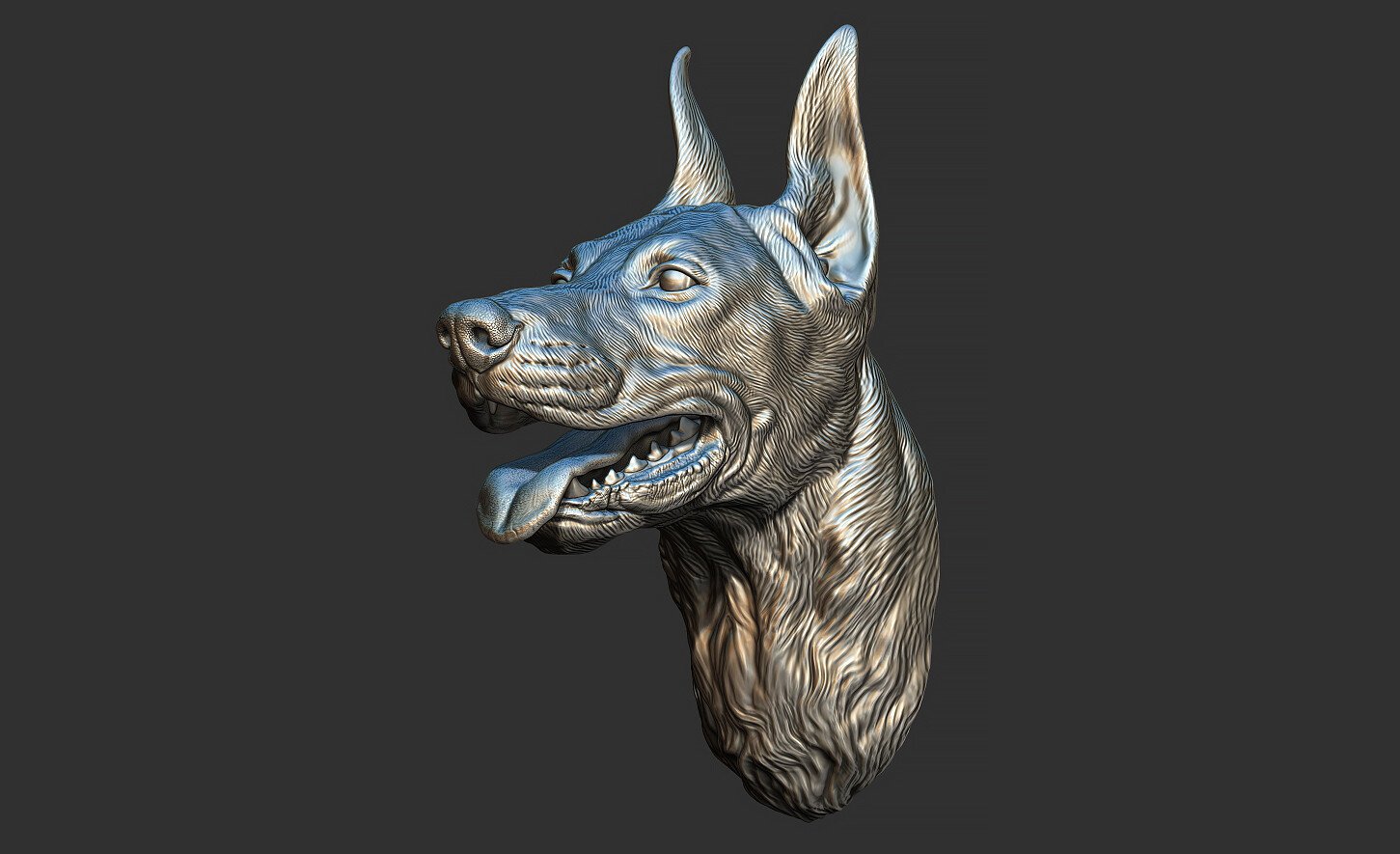 ArtStation - Doberman head | Resources