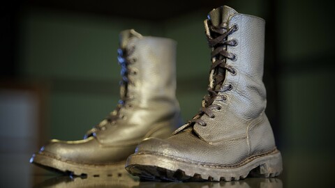 Combats Boots