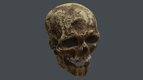 human skeleton_Homo sapiens Cro-Magnon 1 (Photogrametry.Photoscan.obj,Photo)